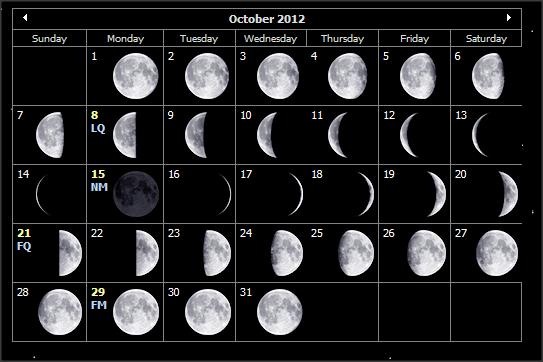 Blank Lunar Calendar