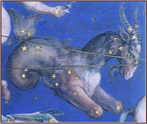 The Constellation Capricorn